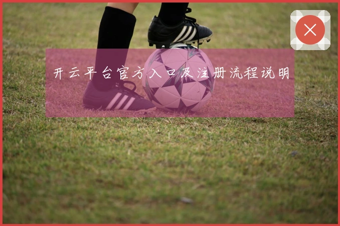 开云平台官方入口及注册流程说明
