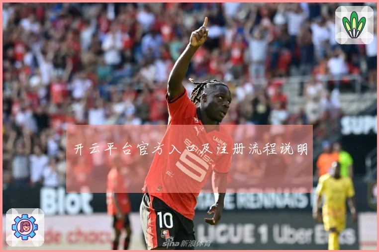 开云平台官方入口及注册流程说明